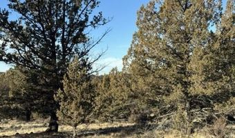 Canvasback Drive, Bonanza, OR 97623