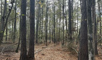 Watts Ln NW, Brookhaven, MS 39601