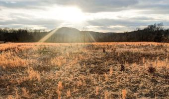 208 Cabin Rd, Ava, MO 65608