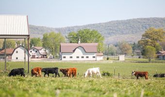 260 Kentucky Derby Ln, Arcadia, MO 63621