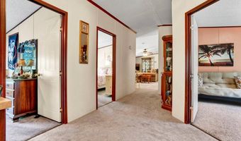 326 Kneece Rd, Bradley, SC 29819