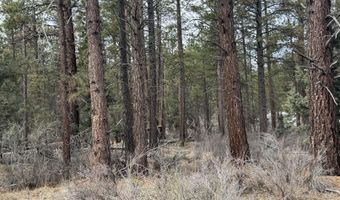 Bufflehead Drive TL 10, Bonanza, OR 97623