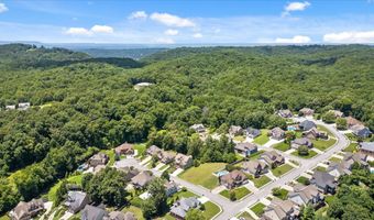 4217 Cripple Bush Ct, Apison, TN 37302