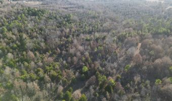 412110 E 1900 Rd, Antlers, OK 74523