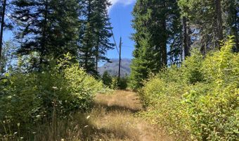 Blue River Dr, Blue River, OR 97413