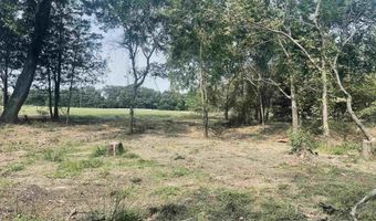LOT 6 Leach Woods East CR 1560, Alba, TX 75410