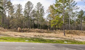 158 Beagle Chase Dr, Appling, GA 30802