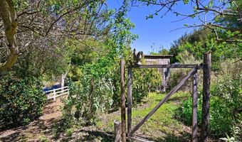 1282 Olive Ave, Fallbrook, CA 92028