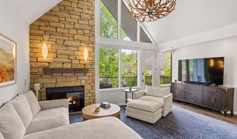 800 S Mill St 6A, Aspen, CO 81611