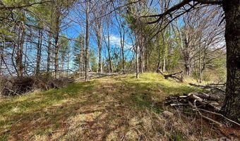 Mitchell Avenue, Bakersville, NC 28705