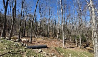 ES71 Twisted Oak Path, Banner Elk, NC 28604