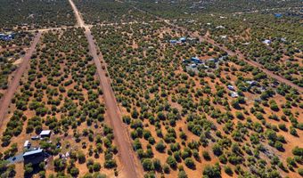 233 Co, Concho, AZ 85924