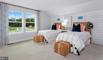 TBB HORNBEAM Drive unit St. Kitts St. Kitts, Frankford, DE 19945