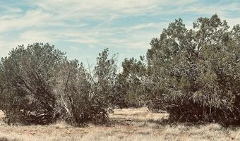 Lot 43nw Tides Trl, Ash Fork, AZ 86320