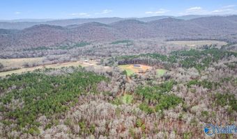 8355 Duck Springs Rd, Attalla, AL 35954