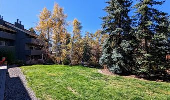 1117 OVERLOOK Dr 1117, Steamboat Springs, CO 80487