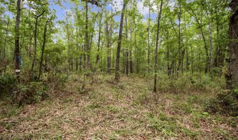 4848 Woodville Rd, Awendaw, SC 29429