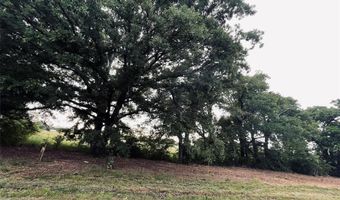 Lot 6 COUNTY ROAD 1560, Alba, TX 75410