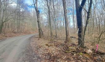 Glade Run Road, Albright, WV 26519