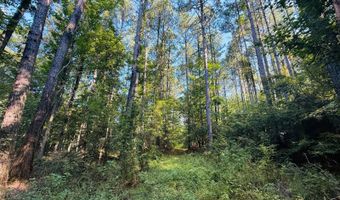 1550 Dennis Smith Rd, Brookhaven, MS 39601