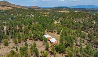 211 Mogul Rd, Alto, NM 88312
