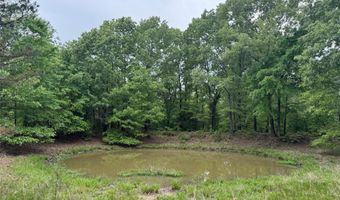 21179 STANDRIDGE E, Atoka, OK 72525