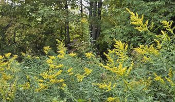 124-125 Prospect St 1230-VL00.0005  1230-VL0004, Barre, VT 05641