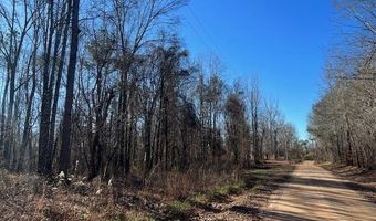 CREEK ROAD lot 0, Ashland, AL 36251
