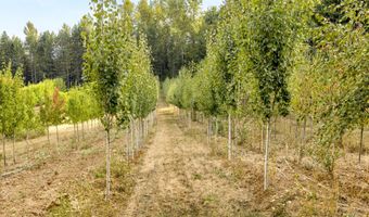 29630 SE WHEELER Rd, Boring, OR 97009