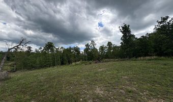 3968 HWY 167, Ash Flat, AR 72513