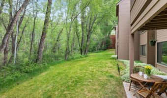 412 Vine St, Aspen, CO 81611