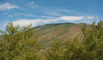 1271 Ute Ave, Aspen, CO 81611
