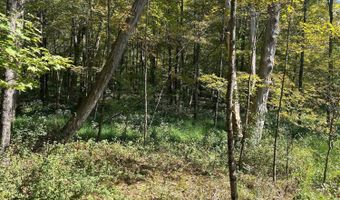 Westfall, Ancram, NY 12502