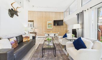 311 S Aspen St 3, Aspen, CO 81611