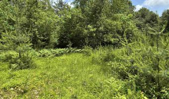 00 Simonsville Rd Lot 3, Andover, VT 05143