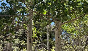 Spanish Peaks Dr, Aguilar, CO 81020