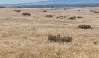 Dun Glen Canyon Rd, Imlay, NV 89418