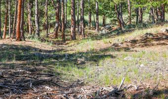 375 Arroyo Chico, Boulder, CO 80302