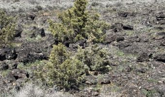 Oregon Pines Road TL 1200, Beatty, OR 97621