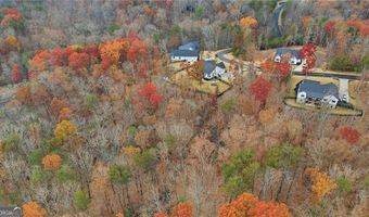 115 Brighton Rd, Ball Ground, GA 30107