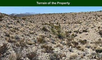 100 Smithsonite Rd, Alpine, TX 79830