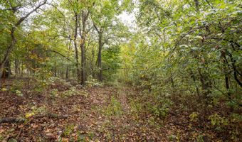 2421 Morrison Loop, Anderson, MO 64831