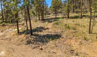 8334 Mina Bird Dr, Bonanza, OR 97623