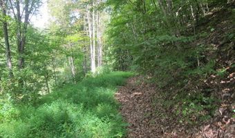 43 Sanctuary Ln, Alderson, WV 24910