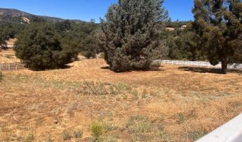 43319 Leach Rd, Ahwahnee, CA 93601