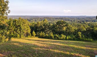 200 TABLEE LANE Lot 17.65, Ashland, AL 36251
