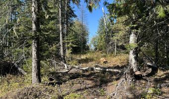 Tract 3 USFS 2294, Clark Fork, ID 83811