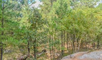 414041 E 1878 Rd, Antlers, OK 74523