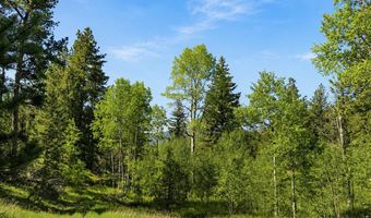 County Road 59, Allenspark, CO 80510