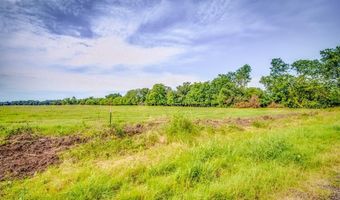Lot 2 Spring Ranch, Sulphur Springs, TX 75482